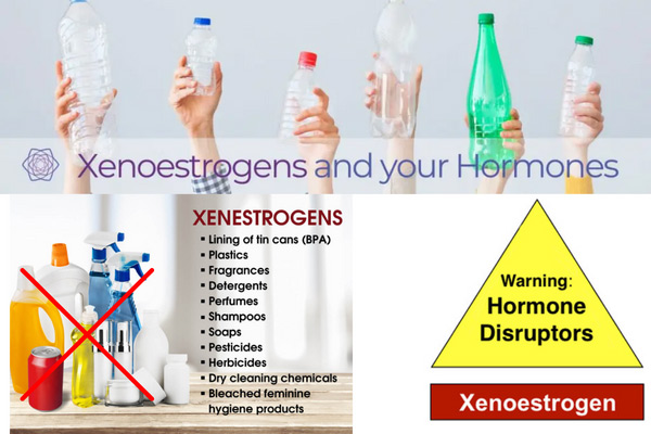 Xenoestrogens gây phá vỡ kết cấu của hoocmon estrogen 