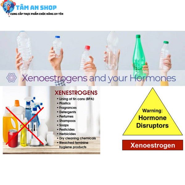 Xenoestrogens gây phá vỡ kết cấu của hoocmon estrogen