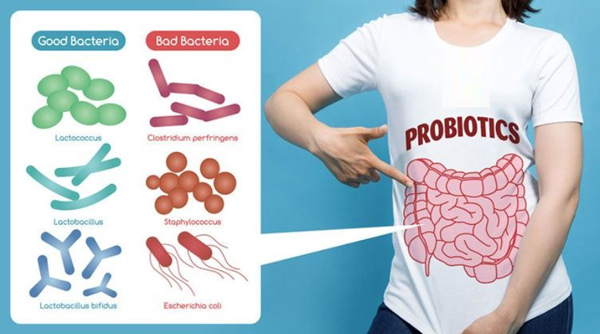 DL12 Probiotic chứa các probiotic còn sống rất tốt cho sức khỏe tiêu hóa toàn diện