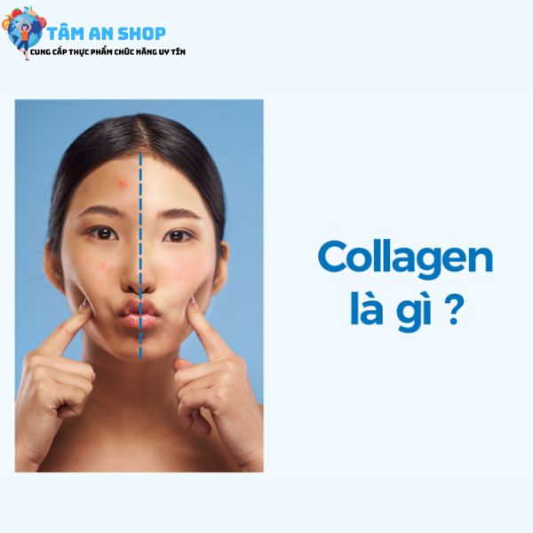 Bạn hiểu collagen là gì?