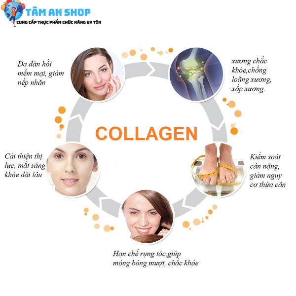 Vai trò của collagen với sức khỏe
