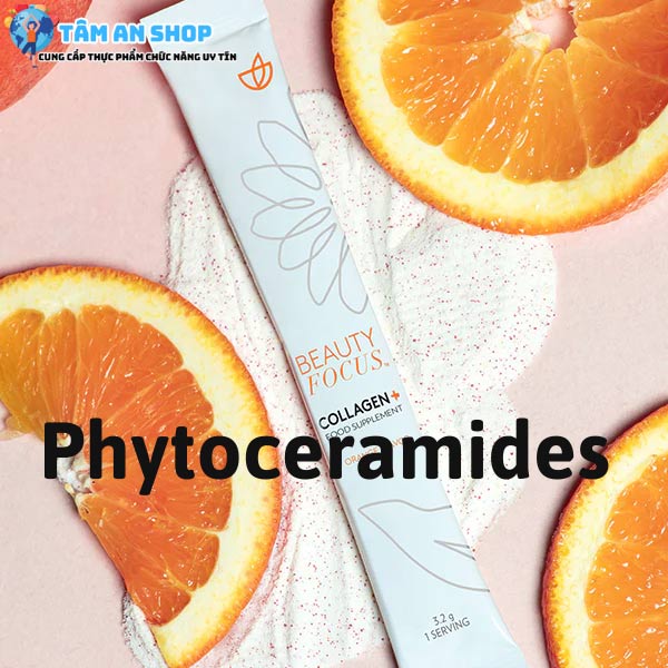 Phytoceramides là hoạt chất dưỡng ẩm và khóa ẩm cho da