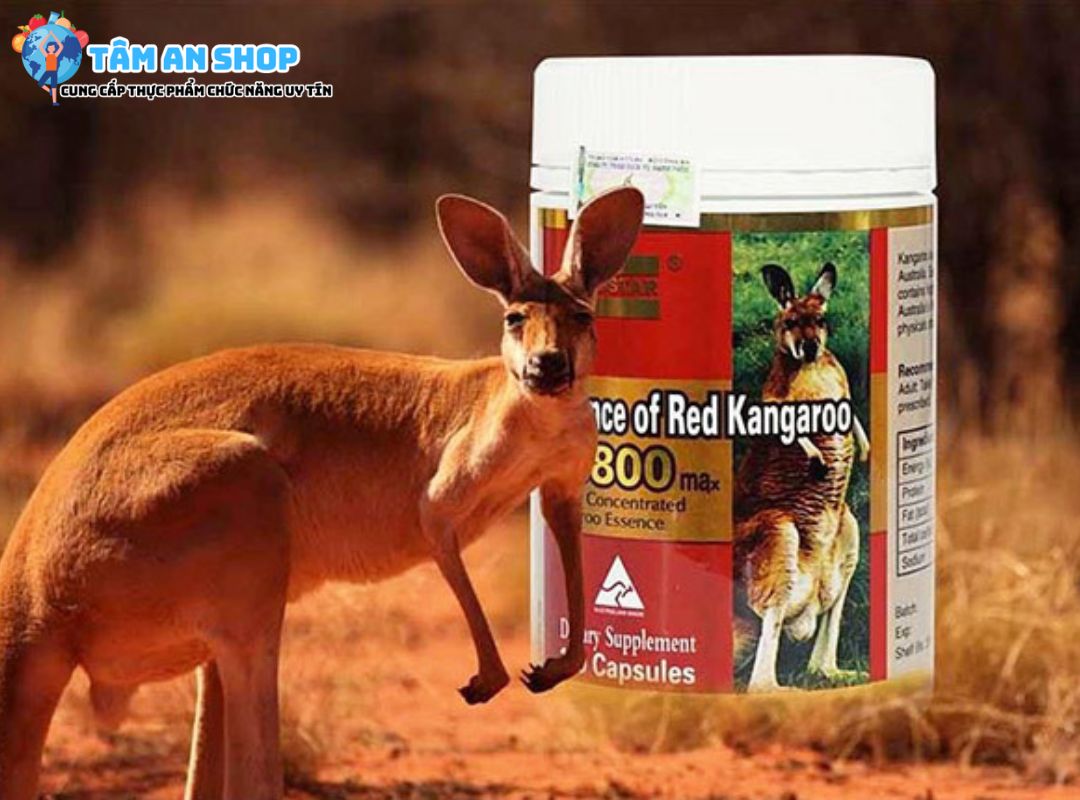Essence Of Red Kangaroo 20800 Max và lưu ý khi sử dụng