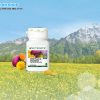 Nutrilite Milk Thistle & Dandelion