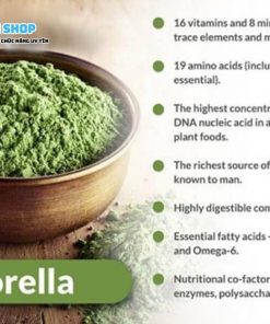 Bột tảo Chlorella