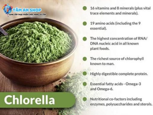 Bột tảo Chlorella