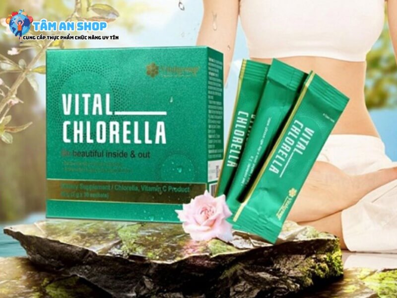 Chăm sóc sức khỏe sắc đẹp hiệu quả Tảo lục Vital Chlorella