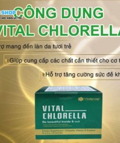 Công dụng và lợi ích khi sử dụng Tảo lục Vital Chlorella