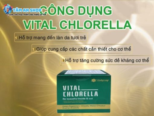 Công dụng và lợi ích khi sử dụng Tảo lục Vital Chlorella