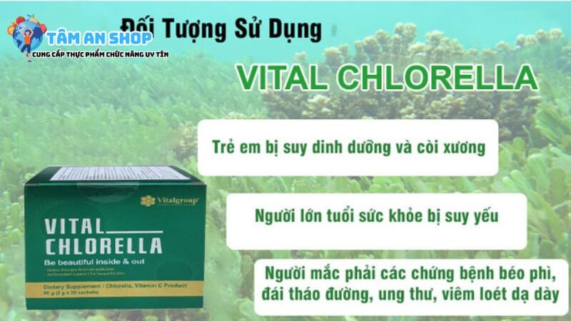 Đối tượng nên sử dụng Tảo lục Vital Chlorella