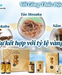 Fucoidan vàng với nhiều dinh dưỡng