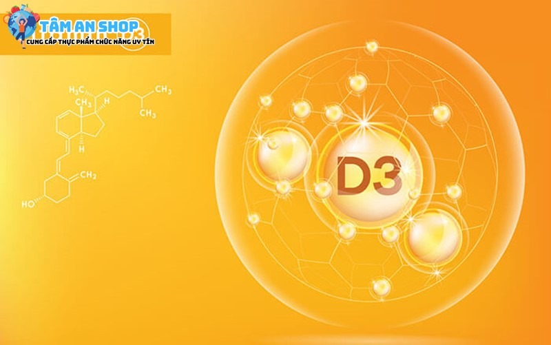 Vitamin D3 hỗ trợ tăng cường khả năng hấp thụ canxi