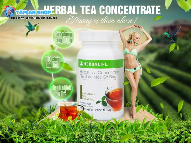 Herbalife Tea Concentrate