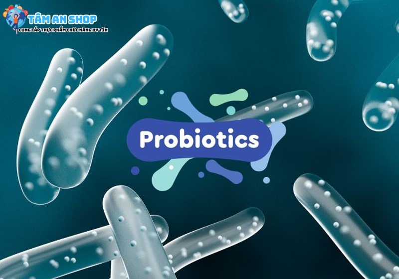 Probiotics có trong Sữa non ILDong 