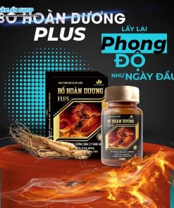 Bổ Hoàn Dương Plus