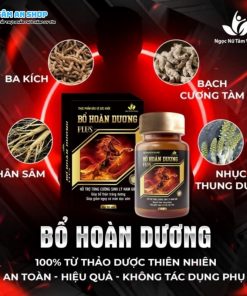 Các thành phần chính có trong Bổ Hoàn Dương Plus