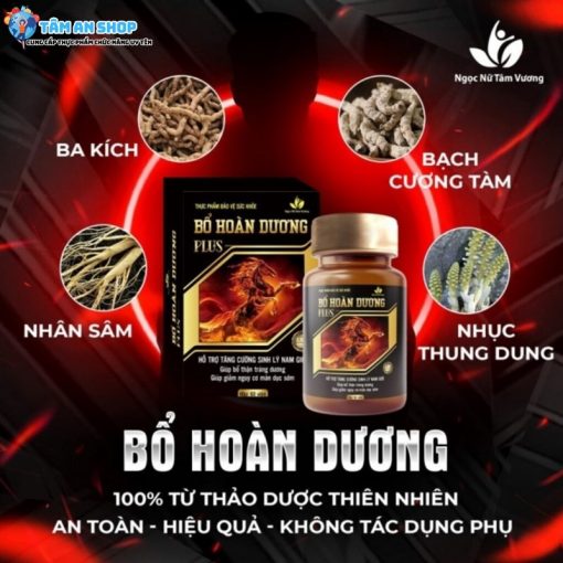 Các thành phần chính có trong Bổ Hoàn Dương Plus