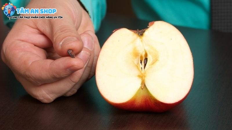Nên bỏ hạt táo trước khi ăn