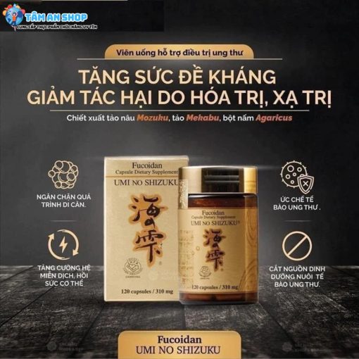 Công dụng của Fucoidan vàng