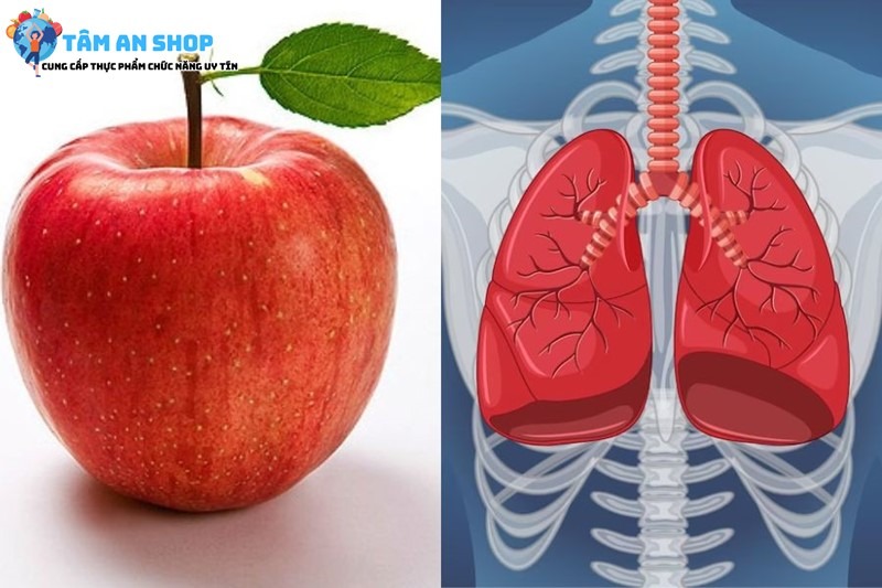 Ăn táo giúp giảm nguy cơ mắc ung thư phổi