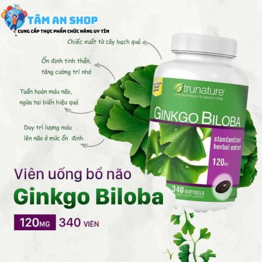 Lợi ích khi sử dụng Ginkgo Biloba Trunature