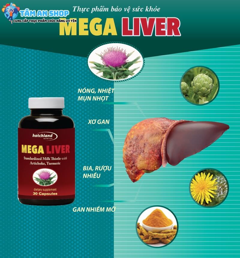 Mega Liver - Viên uống giải độc gan hiệu quả