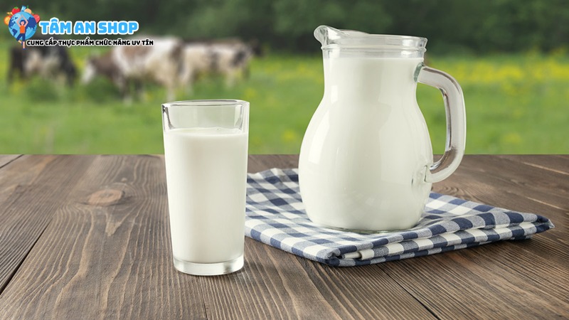 Sữa non là thành phần chính có trong Golden Gout