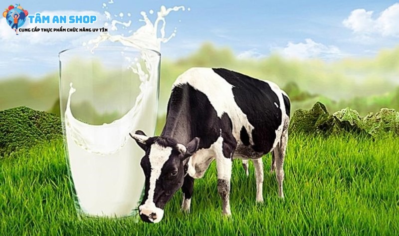 Sữa bò giúp tăng đề kháng cho trẻ