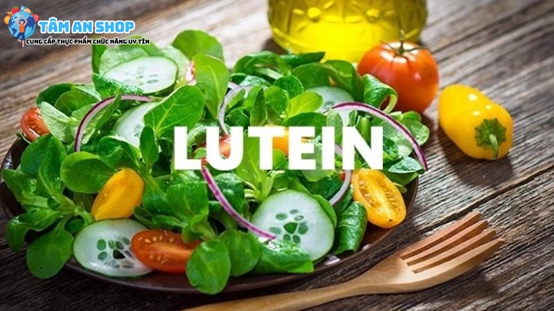 Thực phẩm chứa Lutein 