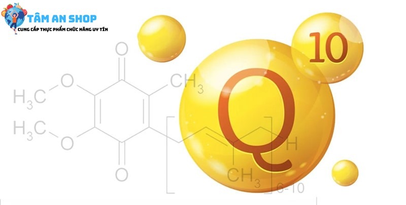 Coenzyme Q10 chất chống oxy hóa mạnh