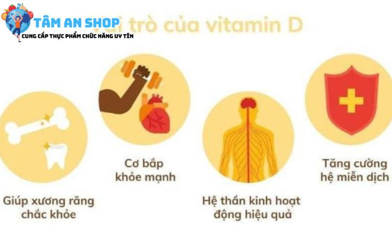 Vitamin D tăng cường miễn dịch
