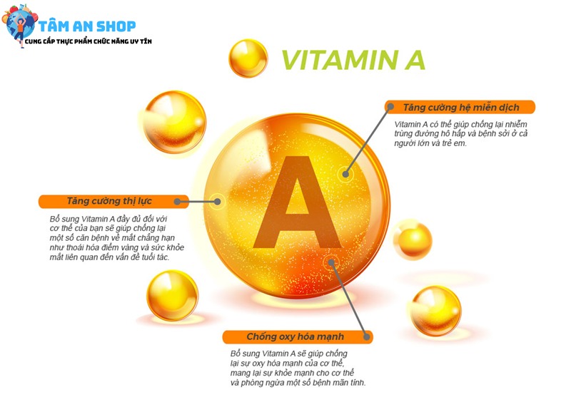 Vitamin A thực hiện nhiều chức năng quan trọng