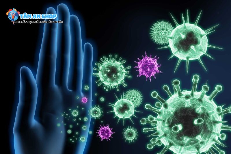 Lifewise 365 Immunex chăm sóc hệ thống miễn dịch