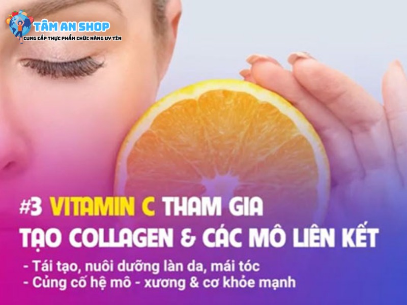 Vitamin C tạo collagen và các mô liên kết