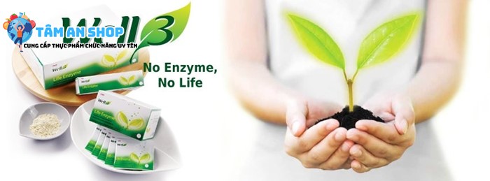 Well3 Life Enzyme được chiết xuất từ hơn 300 loại enzyme khác nhau