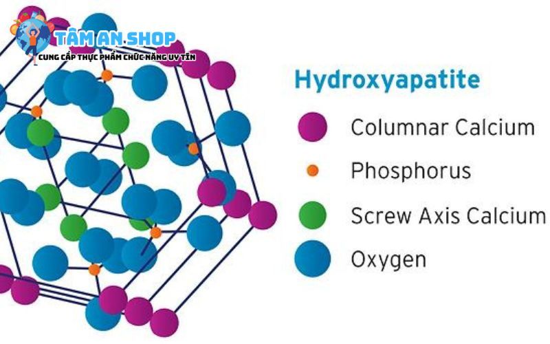 Canxi hydroxyapatite