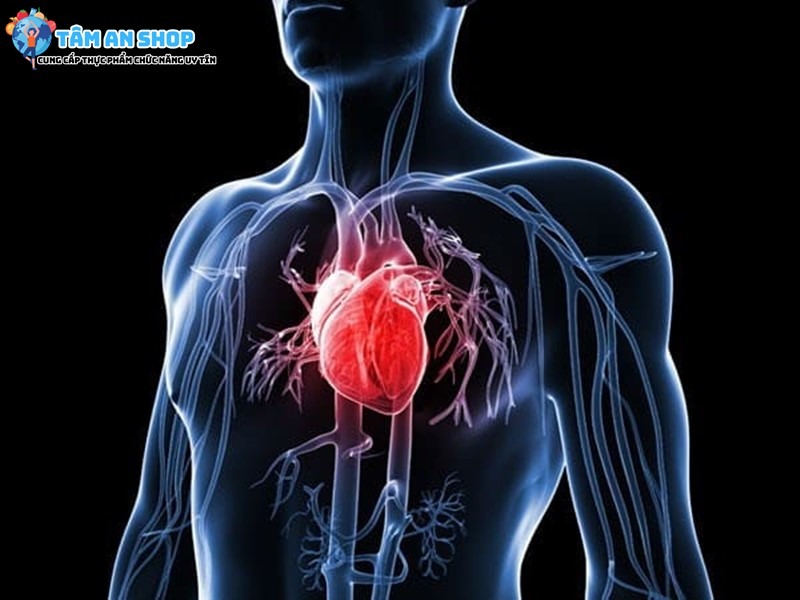 Fibre Max giúp duy trì sức khỏe tim mạch