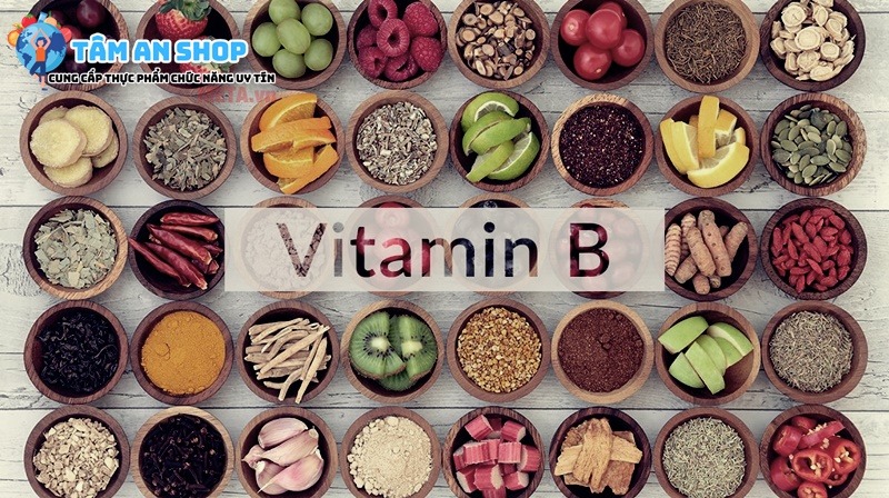 Vitamin B tham gia vào hệ thống hoạt động quan trọng của cơ thể