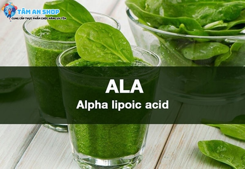Axit alpha-lipoic chống oxy hóa mạnh