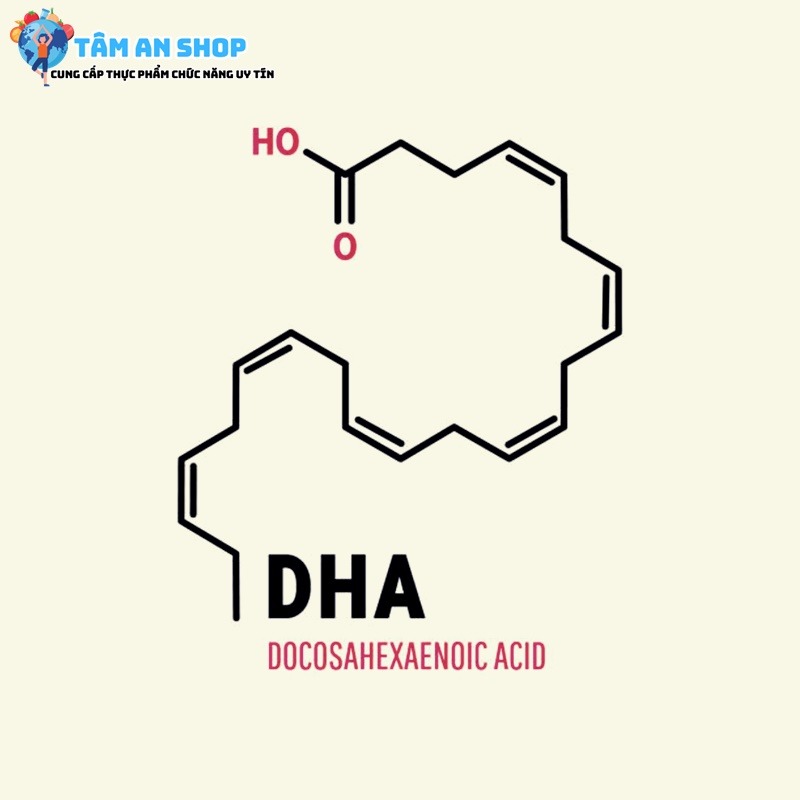 DHA đóng vai trò không thể thiếu trong sự phát triển và hoạt động của não