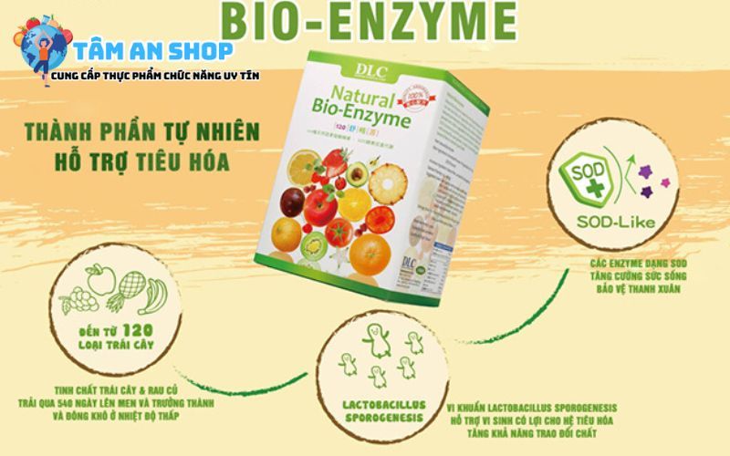 Thành phần chính có trong DLC Natural Bio-Enzyme