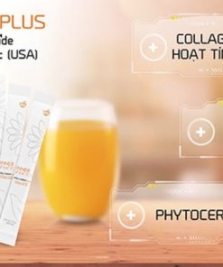 Thành phần chính có trong Collagen Nuskin