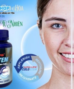 Thực phẩm bảo vệ sức khỏe Alpha Lipid Colostem