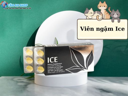 Viên ngậm ICE là gì