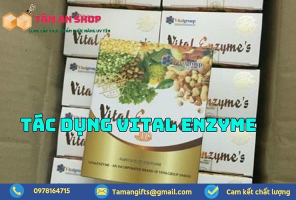 Tác dụng của vital enzyme