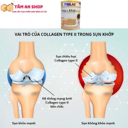 Tác dụng của sữa xương khớp Pisilac 900g