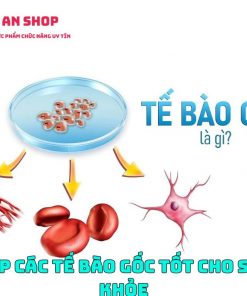 tóp tế bào gốc tốt cho sức khỏe