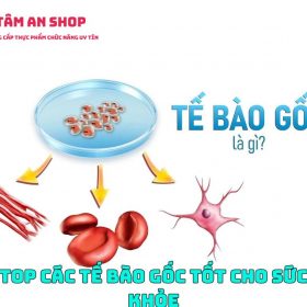 tóp tế bào gốc tốt cho sức khỏe